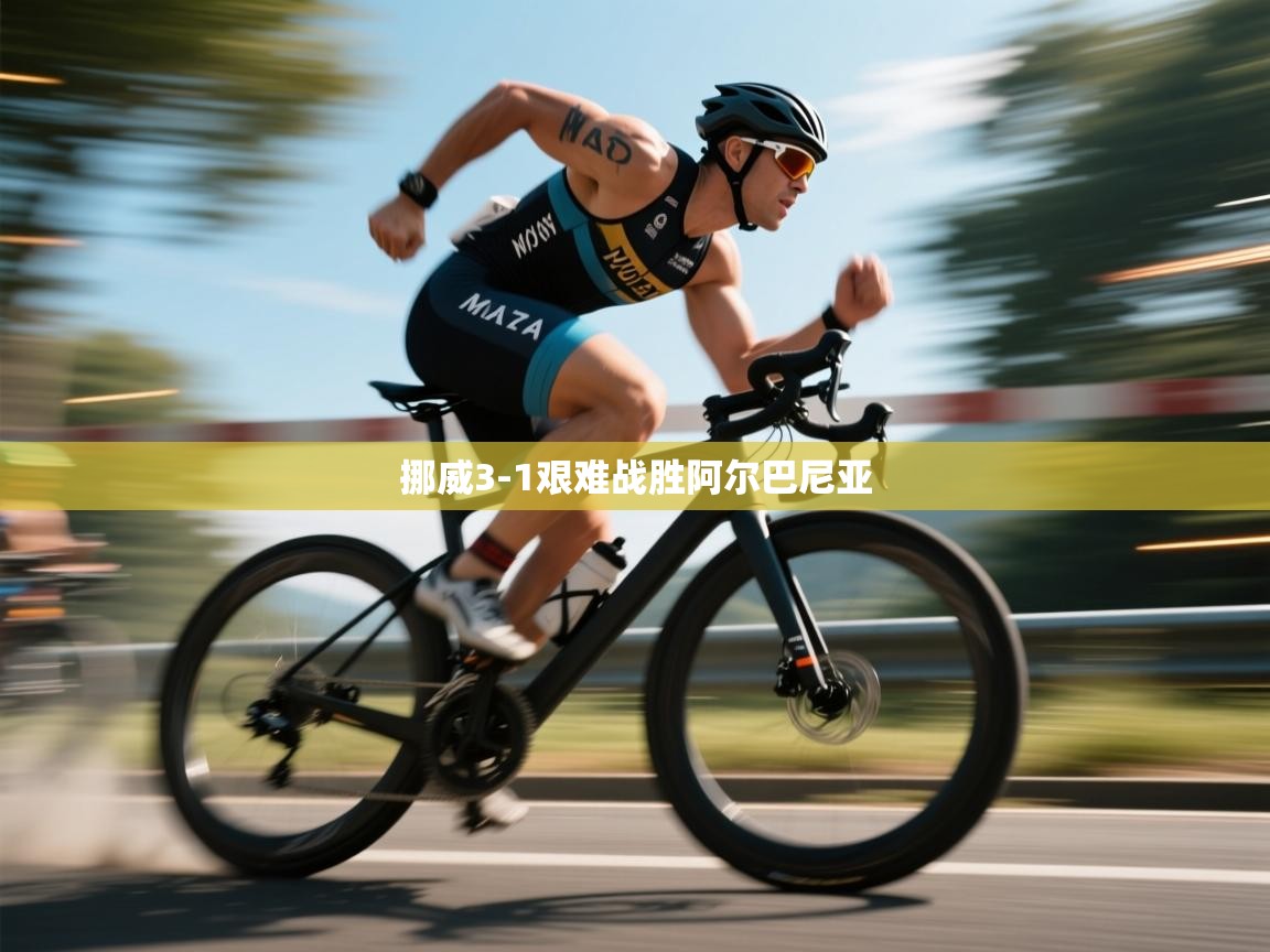 挪威3-1艰难战胜阿尔巴尼亚 第2张