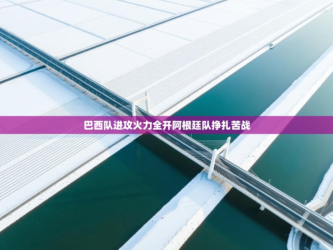 巴西队进攻火力全开阿根廷队挣扎苦战 第2张